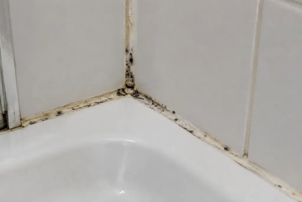 Kitbedrijf Renkum – beschimmelde kitranden